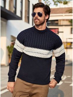Men Colorblock Raglan Sleeve Cable Knit Sweater