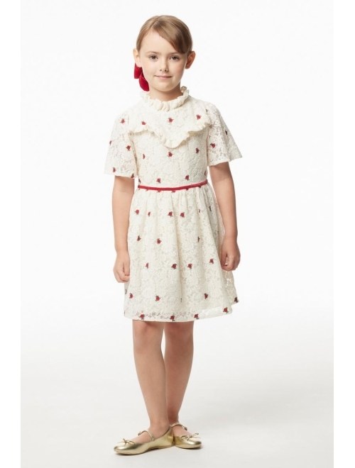 Janie and Jack Girl's Lace Party Dress (Toddler/Little Kids/Big Kids)