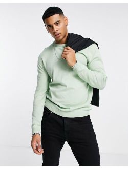 cotton crew neck sweater in sage green