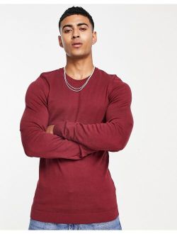 muscle fit knitted sweater in burgundy