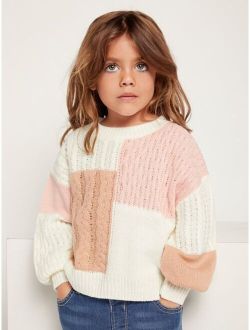 Toddler Girls Colorblock Cable Knit Drop Shoulder Sweater
