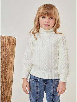 Toddler Girls Funnel Neck Cable Knit Sweater