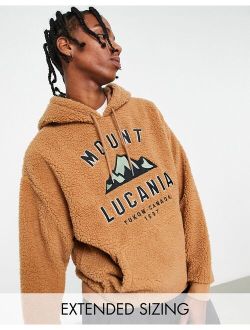 oversized teddy borg hoodie in brown with mountain embroidery