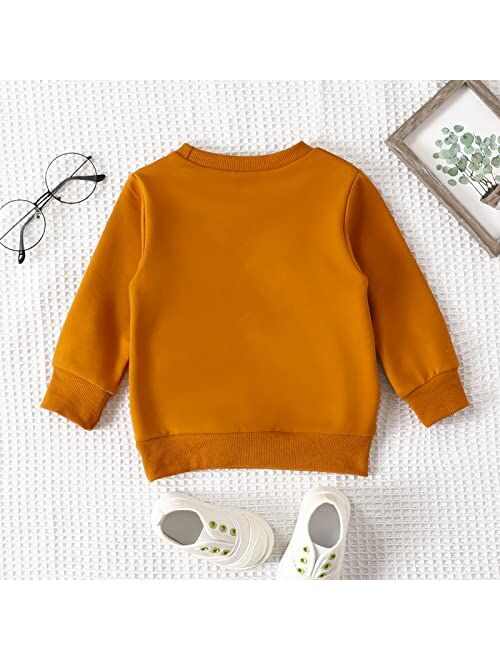 Boebnozcv Toddler Boy Girl Halloween Pumpkin Patch Sweatshirt Outfit Long Sleeve Oversized Sweater Shirts Fall Blouse Clothes