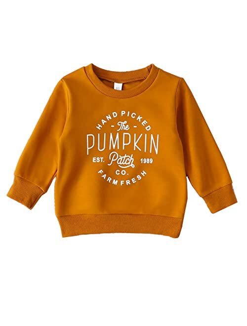 Boebnozcv Toddler Boy Girl Halloween Pumpkin Patch Sweatshirt Outfit Long Sleeve Oversized Sweater Shirts Fall Blouse Clothes