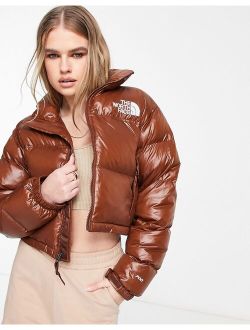 Nuptse cropped down jacket in brown