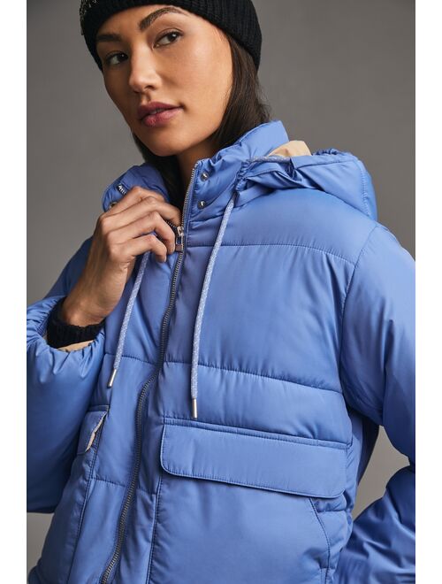 Pilcro Cropped Colorblock Puffer Jacket