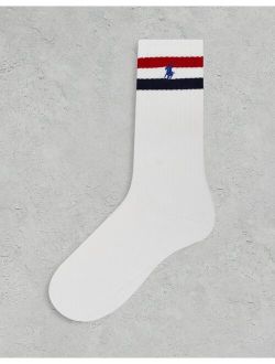 6-pack sport socks with pony logo in white with color stripe