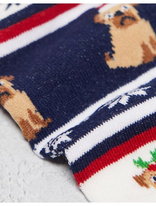 ASOS DESIGN 2 pack ankle socks in christmas animal fairisle