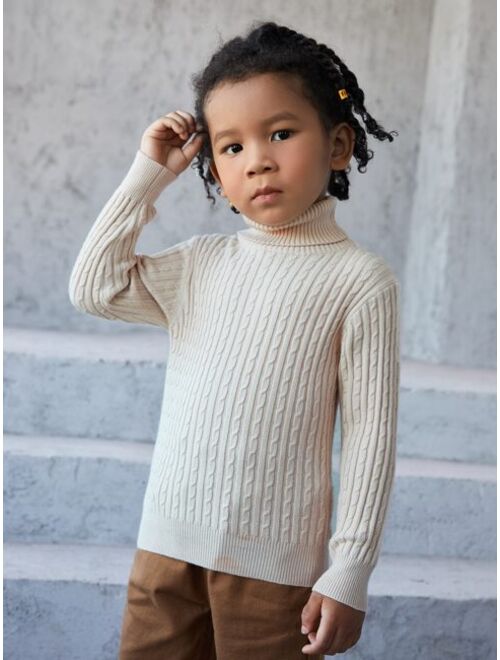 Shein Toddler Boys Turtle Neck Cable Knit Sweater