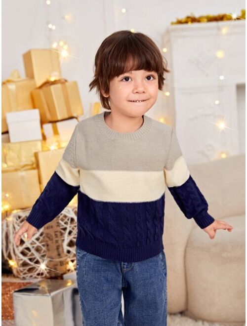 SHEIN Toddler Boys Color Block Cable Knit Sweater