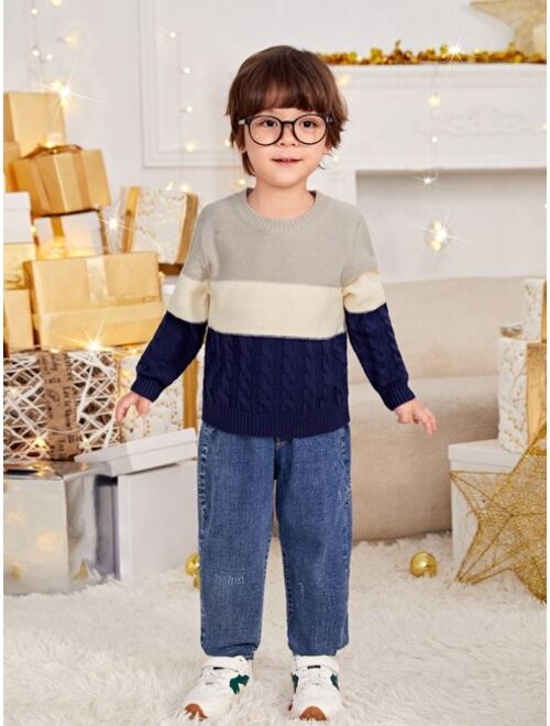 SHEIN Toddler Boys Color Block Cable Knit Sweater
