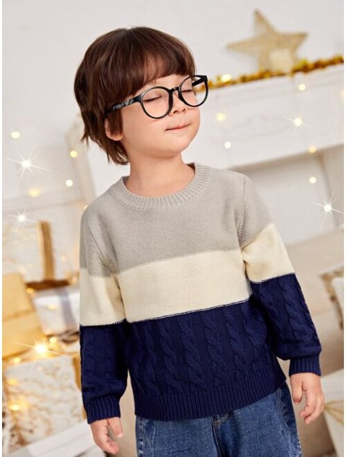 SHEIN Toddler Boys Color Block Cable Knit Sweater