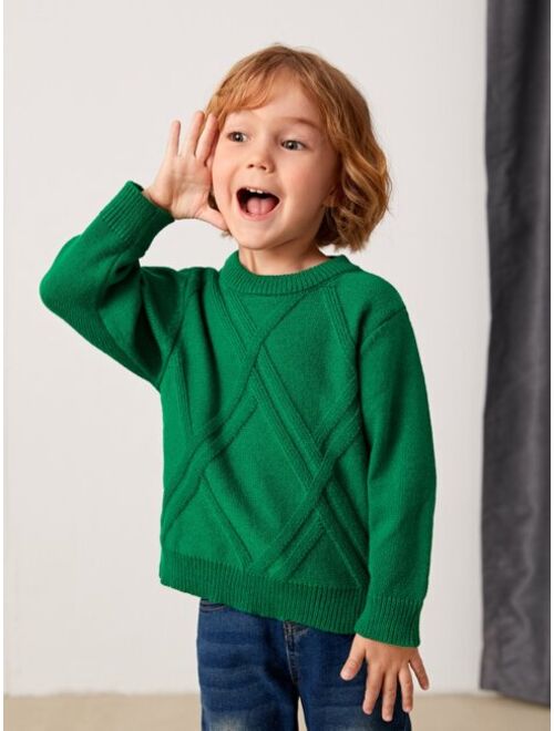 Shein Toddler Boys Argyle Knit Sweater