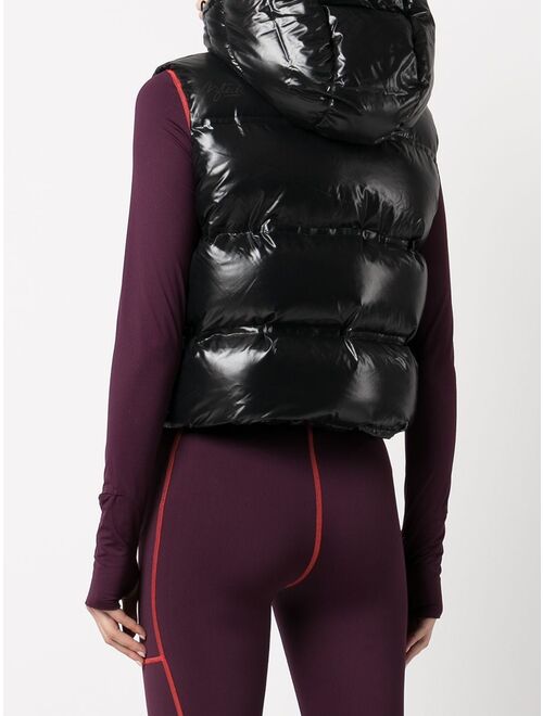 Aztech Mountain Snowbird padded vest