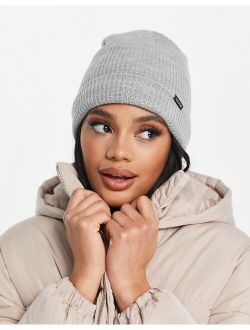 polar lined beanie in light gray