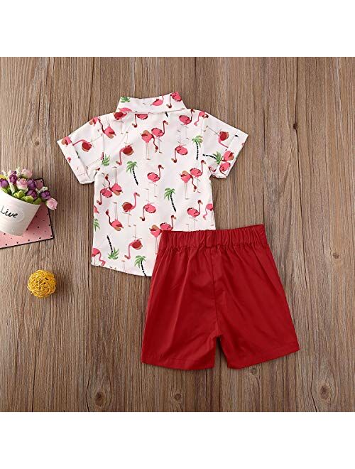 Bmnmsl Toddler Baby Boy Short Sleeve Button Down Shirt & Shorts Set 2T 3T 4T 5T 6T Outfits Summer Clothes