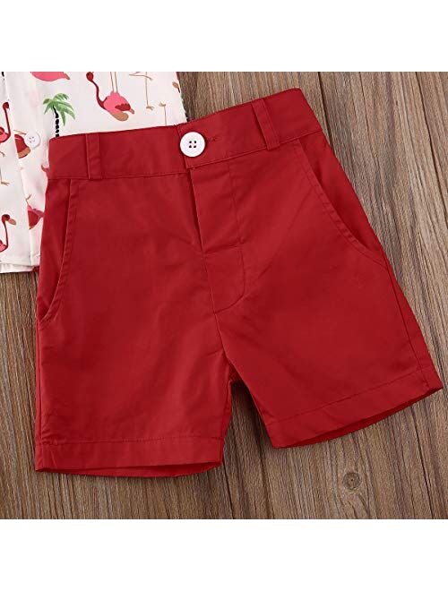 Bmnmsl Toddler Baby Boy Short Sleeve Button Down Shirt & Shorts Set 2T 3T 4T 5T 6T Outfits Summer Clothes