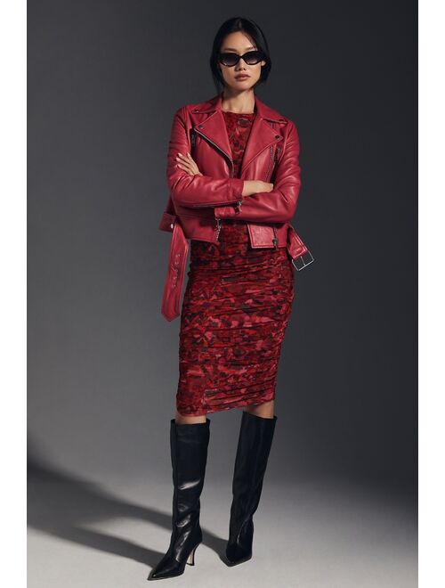 Walter Baker Flissy Moto Jacket