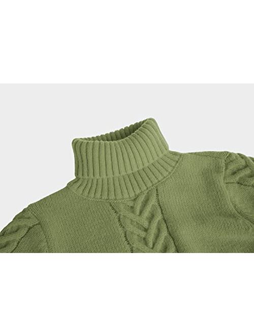 Bbalizko Toddler Boys Sweater Knit Twist Turtleneck Chunky Winter Pullover Sweaters Outfits for Baby Boy Girls
