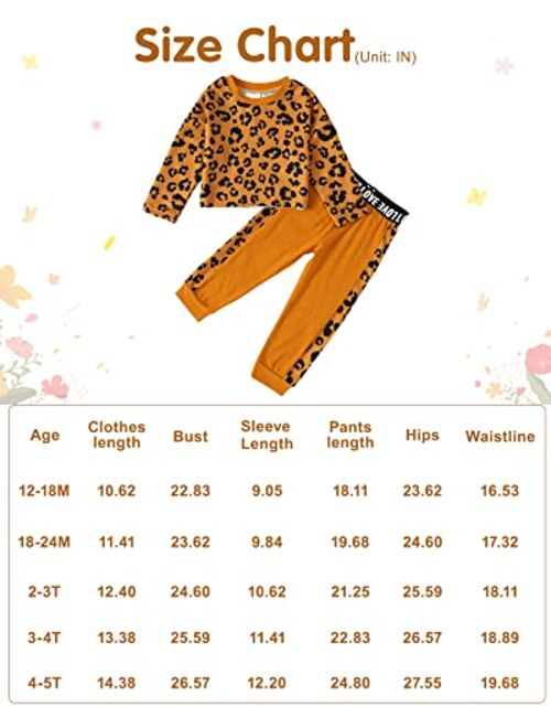 WESIDOM Baby Girl Clothes Sets, 2pcs Autumn Long Sleeve Clothes Outfits Toddler Girl Sweater Sets