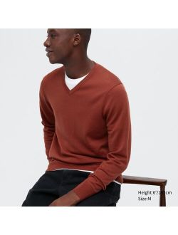 Extra Fine Merino V-Neck Long-Sleeve Sweater
