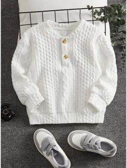 Toddler Boys Half Button Cable Knit Sweatshirt