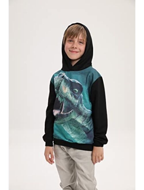 Cm-Kid Boys Sweatshirts Dinosaur Hoodie Tops Toddler Hooded T-Shirts Casual Hoodies Long Sleeve Outdoor Outfit