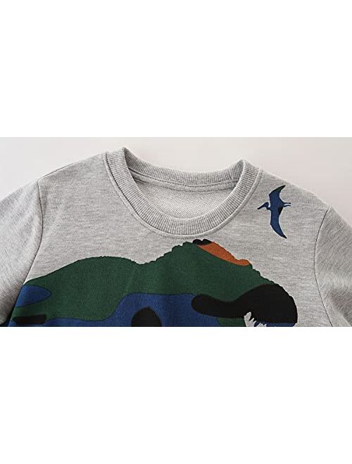 BTGIXSF Little Boys Cotton Crewneck Cartoon Long Sleeve Pullover Sweatshirts Tops