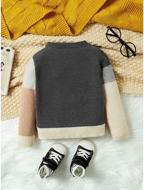 SHEIN Baby Color Block Round Neck Sweater