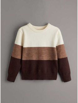 Toddler Boys Cut And Sew Sweater