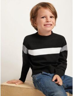 Toddler Boys Cut And Sew Sweater