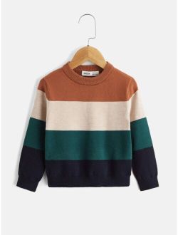 Toddler Boys Color Block Sweater