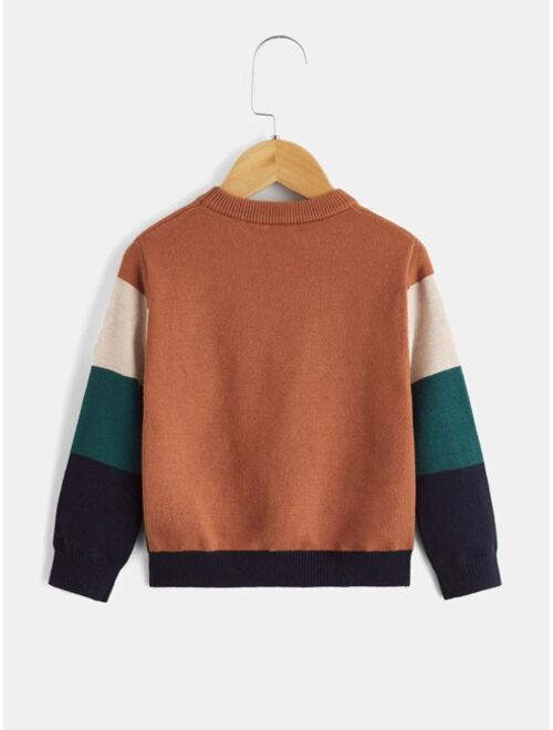 SHEIN Toddler Boys Color Block Sweater