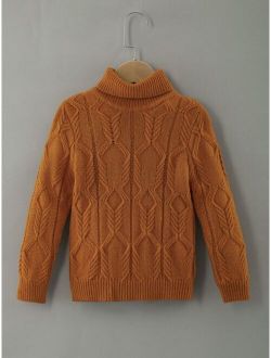 Toddler Boys Turtleneck Cable Knit Sweater