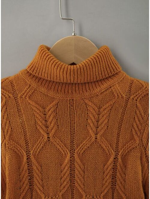 Shein Toddler Boys Turtleneck Cable Knit Sweater