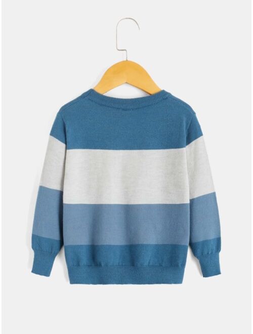Shein Toddler Boys Color Block Sweater
