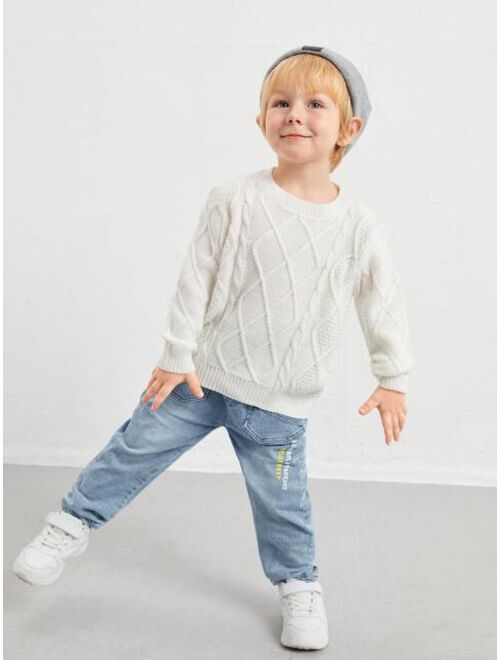 SHEIN Toddler Boys Cable Diamond Knit Sweater