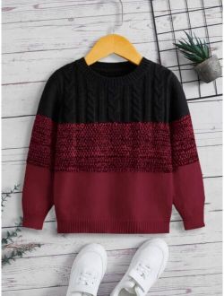 Toddler Boys Colorblock Cable Knit Sweater