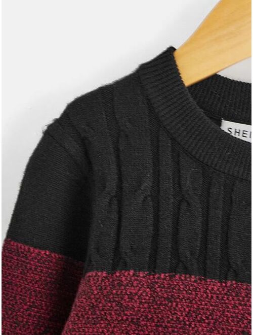 SHEIN Toddler Boys Colorblock Cable Knit Sweater