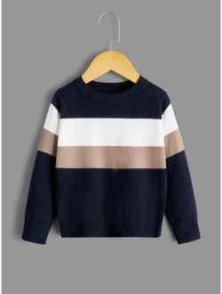 Toddler Boys Color Block Sweater