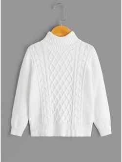 Toddler Boys Cable Knit Turtleneck Sweater