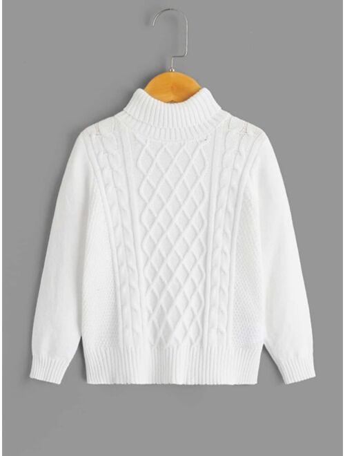 SHEIN Toddler Boys Cable Knit Turtleneck Sweater