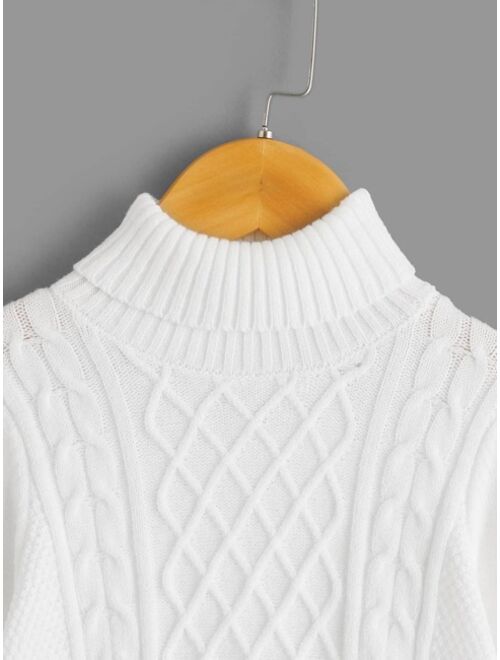 SHEIN Toddler Boys Cable Knit Turtleneck Sweater