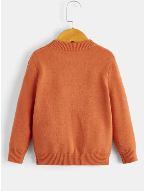 Shein Toddler Boys Cable Knit Sweater