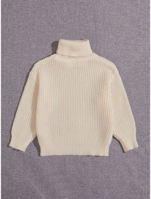 SHEIN Toddler Boys Turtleneck Ribbed Knit Drop Shoulder Sweater