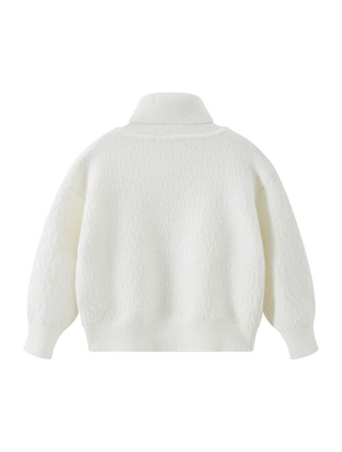 Shein Toddler Boys Turtleneck Sweater