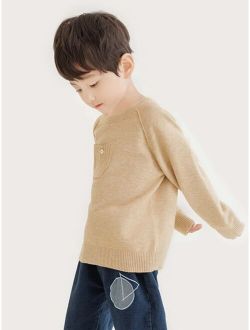 Toddler Boys 1pc Pocket Front Raglan Sleeve Sweater
