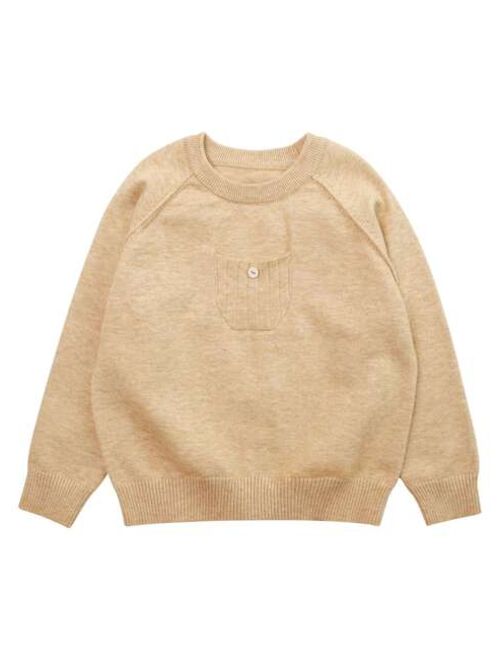 Shein Toddler Boys 1pc Pocket Front Raglan Sleeve Sweater