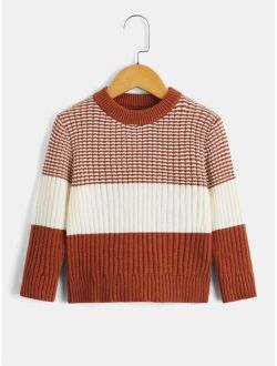 Toddler Boys Striped Pattern Colorblock Sweater